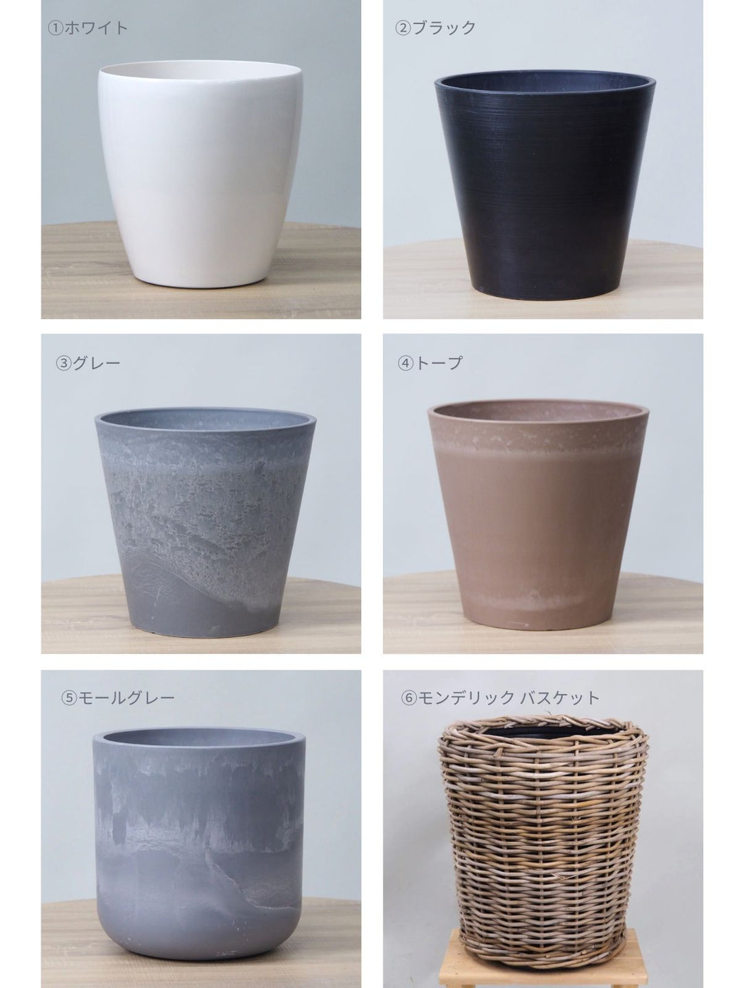 観葉植物 フィカス ベンガレンシス 10号 曲がりタイプ| Plant Hunt（プラントハント）