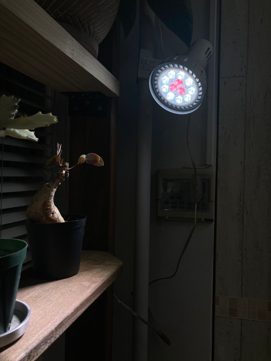 植物専用LEDライト Plants NEXLIGHT│PlantHunt（プラントハント）